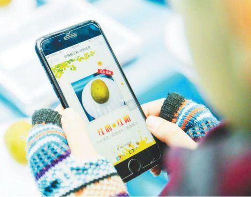 智慧大脑赋能民生 人工智能应用软件的开发与生活体验提升